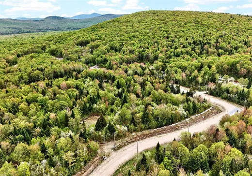Land for Sale - 53 Ch. du Mélèze, Notre-Dame-Des-Boies, J0B 2E0