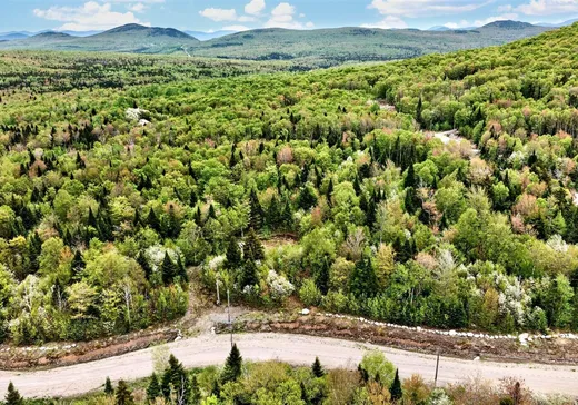Land for Sale - 53 Ch. du Mélèze, Notre-Dame-Des-Boies, J0B 2E0