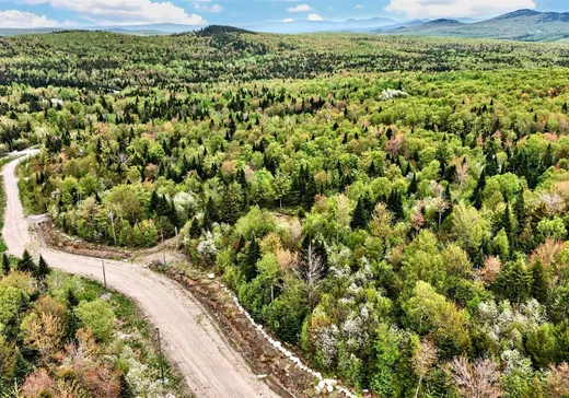 Land for Sale - 53 Ch. du Mélèze, Notre-Dame-Des-Boies, J0B 2E0