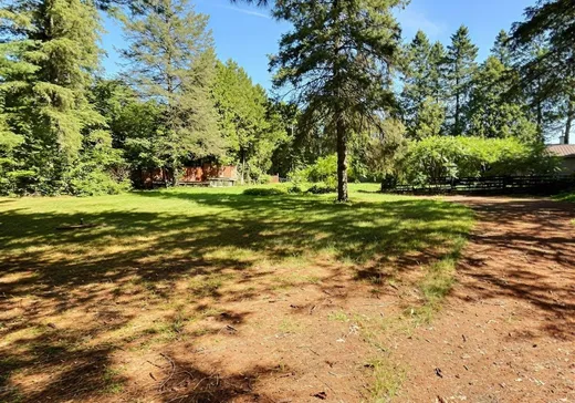 Land for sale - 1577 Ch. des Chalets, St-Pierre-Baptiste, G0P1K0