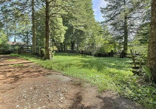 Land for Sale - 1577 Ch. des Chalets, St-Pierre-Baptiste, G0P 1K0