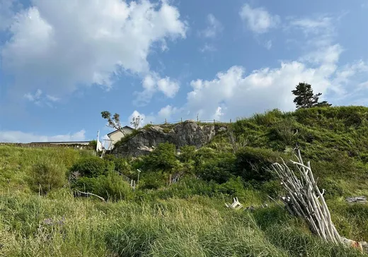 Land for Sale - 201 Rue de la Mer, Les Mechins, G0J 1T0