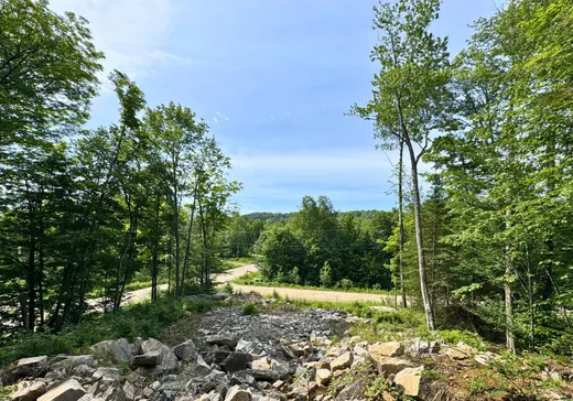 Land for Sale -  Ch. des Explorateurs, Mont-Tremblant, J0T 1M0