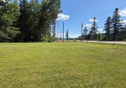 Terrain à vendre - 3885 Boul. Ducharme, La Tuque, G9X4T8
