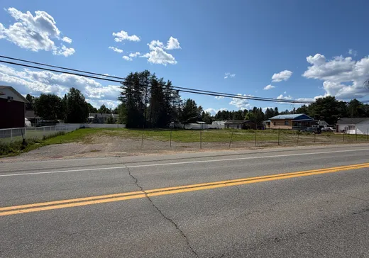Terrain à vendre - 3885 Boul. Ducharme, La Tuque, G9X 4T8