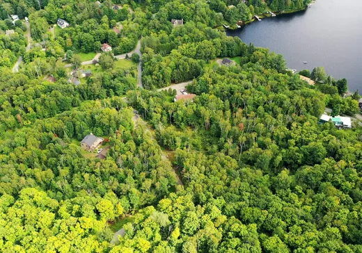 Terrain à vendre -  Ch. du Lac-Dufour, Mont-Tremblant, J8E 2A7
