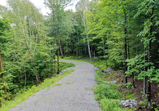 Terrain à vendre -  Ch. du Lac-Dufour, Mont-Tremblant, J8E 2A7
