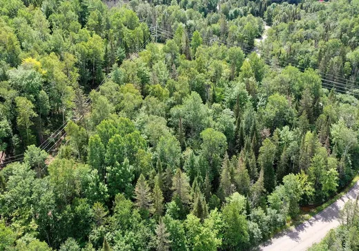 Terrain à vendre -  Ch. du Lac-Joly, Labelle, J0T1H0
