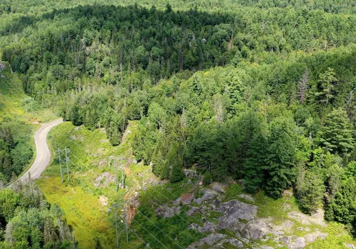 Terrain à vendre -  Ch. du Lac-Joly, Labelle, J0T 1H0