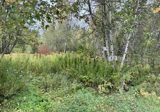 Land for sale - 50 Ch. du Lac-à-la-Truite, Daveluyville, G0Z1C0