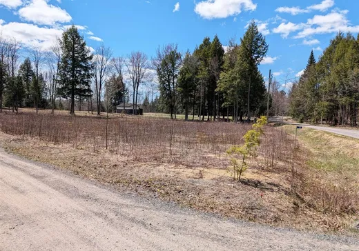 Terrain à vendre - 55 Rue des Grenats O., Kingsey Falls, J0A1B0