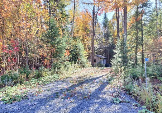 Terrain à vendre - 325 Ch. des Bernaches, Stratford, G0Y 1P0