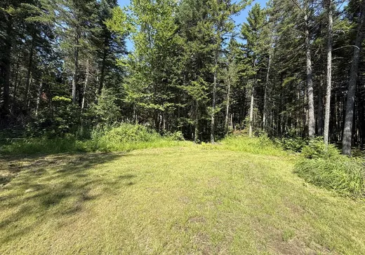 Land for Sale - 86 Ch. Anik, Notre-Dame-Des-Boies, J0B 2E0