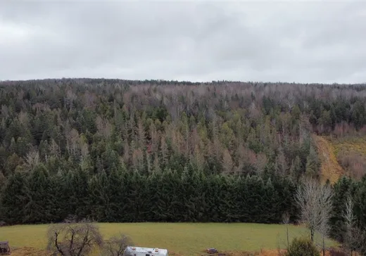 Terrain à vendre - 1400 2e Rang S., Weedon, J0B 3J0
