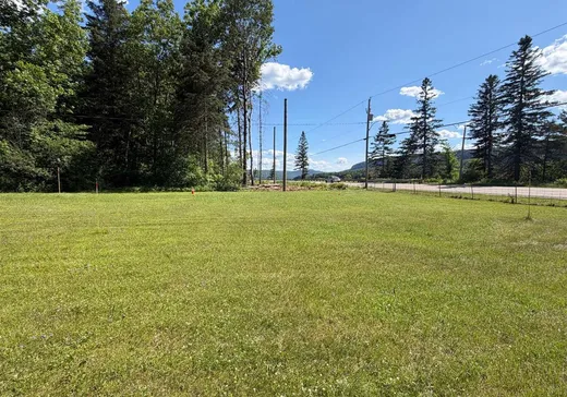 Terrain à vendre - 3885 Boul. Ducharme, La Tuque, G9X4T8