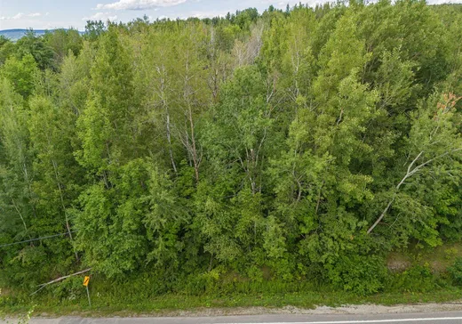 Terrain à vendre - 5030 Route 220, Orford, J1X 7M9