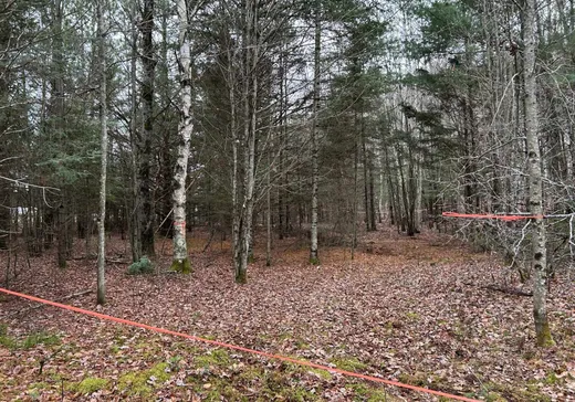 Terrain à vendre - 240 Ch. de l'Acajou, Mont-Tremblant, J0T 1M0