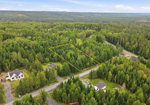 Terrain à vendre - 01 Rue de la Sapinière, St-Benjamin, G0M1N0