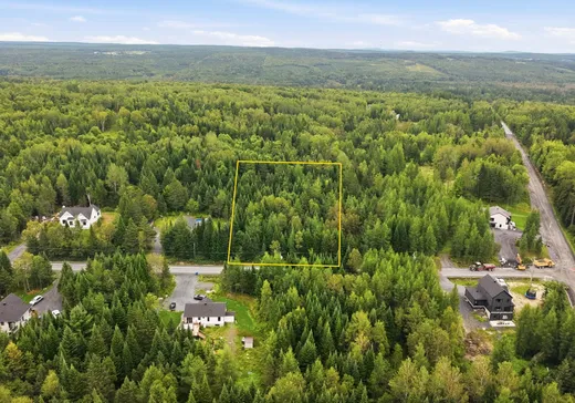Terrain à vendre - 01 Rue de la Sapinière, St-Benjamin, G0M 1N0
