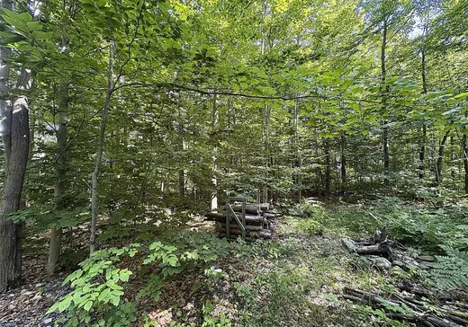Land for Sale - 1 Route Bibeau, St-Germain-De-Grantham, J0C 1J0