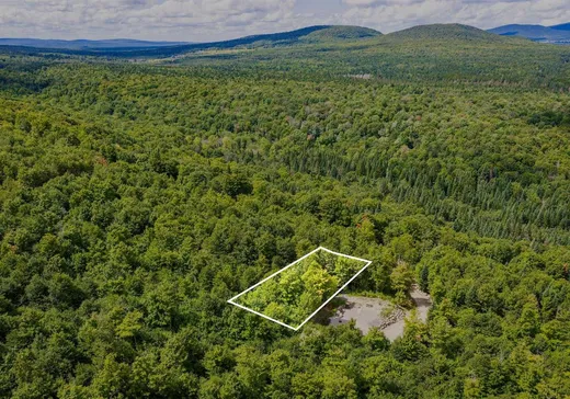 Land for Sale - 82 Ch. du Rat-Musqué, Notre-Dame-Des-Boies, J0B 2E0