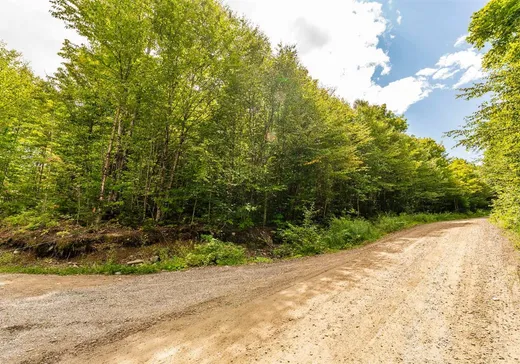 Land for Sale - 82 Ch. du Rat-Musqué, Notre-Dame-Des-Boies, J0B 2E0