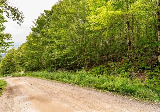 Land for Sale - 82 Ch. du Rat-Musqué, Notre-Dame-Des-Boies, J0B 2E0