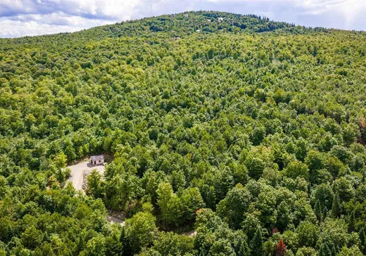 Land for Sale - 82 Ch. du Rat-Musqué, Notre-Dame-Des-Boies, J0B 2E0