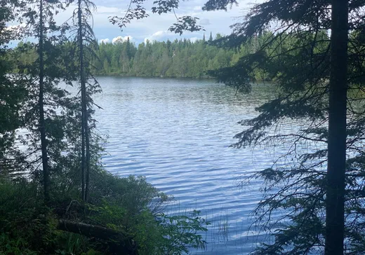 Terrain à vendre - 9481 Rue des Érables, Lac-Mégantic, G0Y1G0