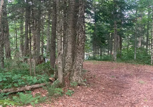 Terrain à vendre - 9481 Rue des Érables, Lac-Mégantic, G0Y 1G0