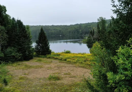 Land for Sale -  Ch. du Lac-Allard, Lac-Saguay, J0W 1L0