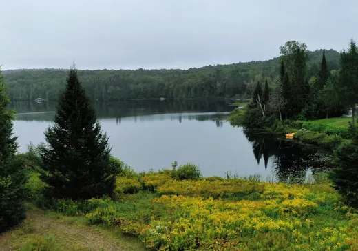 Land for Sale -  Ch. du Lac-Allard, Lac-Saguay, J0W 1L0