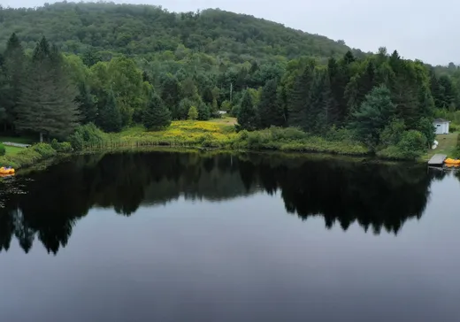 Land for Sale -  Ch. du Lac-Allard, Lac-Saguay, J0W 1L0