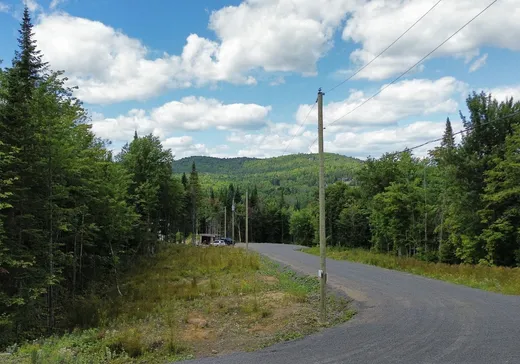 Land for Sale -  Rue Gauguin, Val David, J0T 2N0