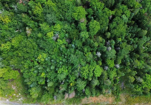 Land for Sale -  Rue Gauguin, Val David, J0T 2N0