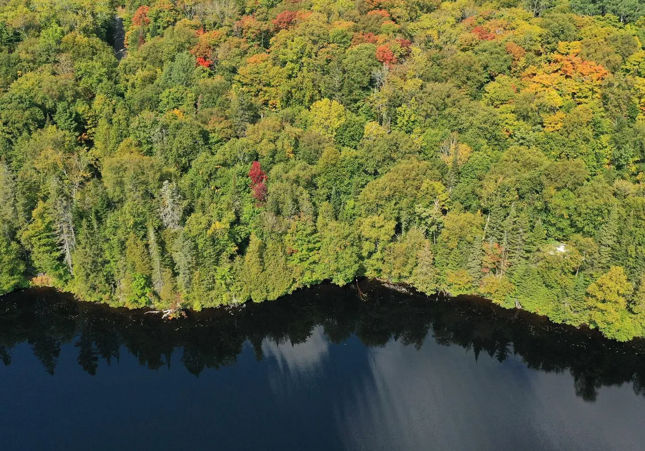 Ch. du Tour-du-Lac — photo 1