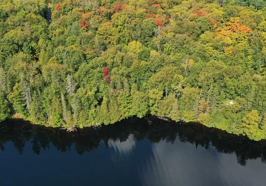 Land for Sale -  Ch. du Tour-du-Lac, Lac-Saguay, J0W 1L0