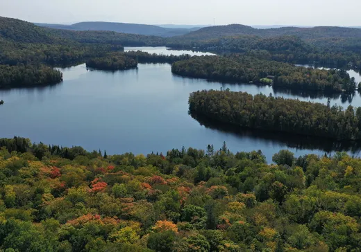 Land for Sale -  Ch. du Tour-du-Lac, Lac-Saguay, J0W 1L0