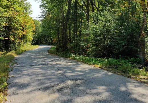 Land for Sale -  Ch. du Tour-du-Lac, Lac-Saguay, J0W 1L0