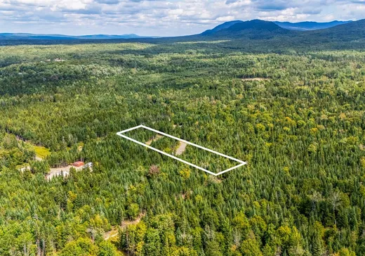 Terrain à vendre - 39 Ch. des Bouleaux, Lac-Mégantic, J0B 1Y0