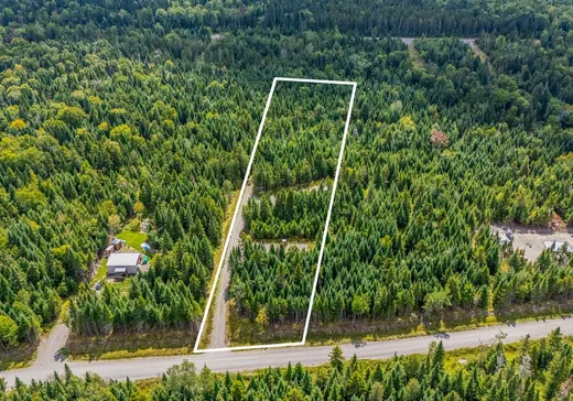 Terrain à vendre - 39 Ch. des Bouleaux, Lac-Mégantic, J0B 1Y0