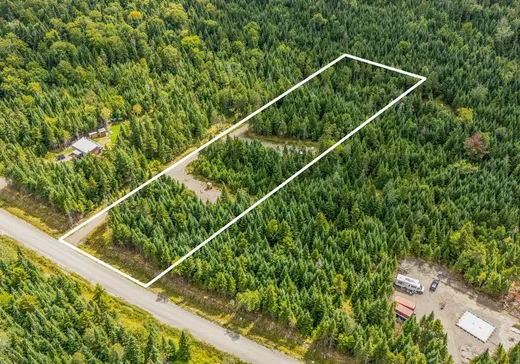 Terrain à vendre - 39 Ch. des Bouleaux, Lac-Mégantic, J0B 1Y0