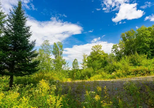 Land for Sale -  Mtée des Soucy, Mont-Laurier, J9L 3G5
