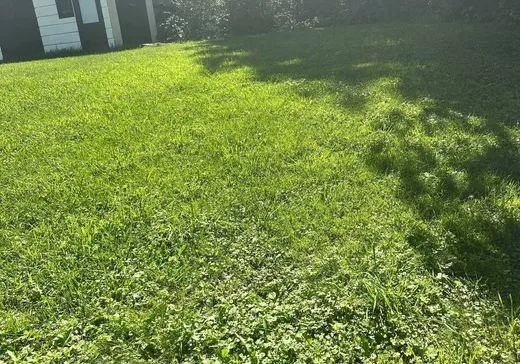 Terrain à vendre -  5e Avenue, Montréal (Île-Bizard), H9C 2P1