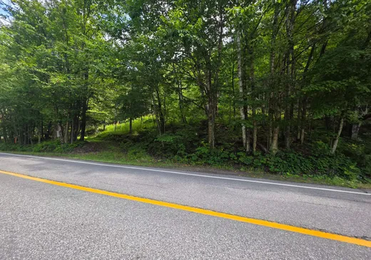 Land for Sale -  Route du Lac-Rond S., Montcalm, J0T 2V0
