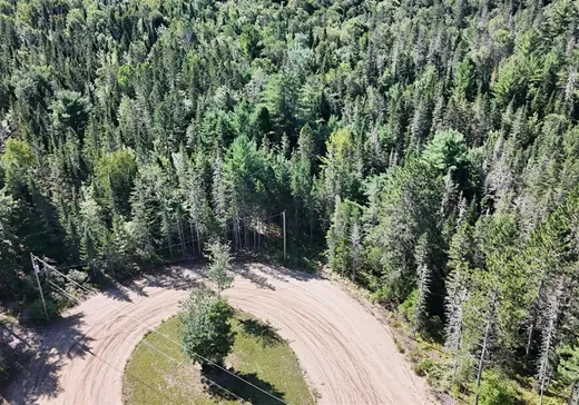 Terrain à vendre - 91 Ch. des Pionniers, St-Alexis-Des-Monts, J0K 1V0