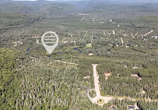 Terrain à vendre - 91 Ch. des Pionniers, St-Alexis-Des-Monts, J0K 1V0