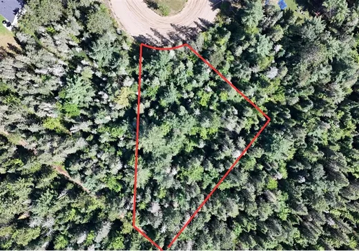 Terrain à vendre - 91 Ch. des Pionniers, St-Alexis-Des-Monts, J0K 1V0