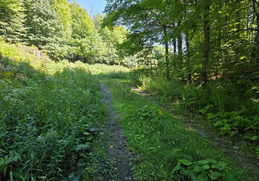 Terrain à vendre - 3 Ch. de l'Agapê, Saint-Augustin-de-Desmaures, J0B1B0