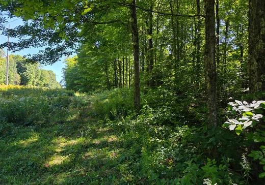 Terrain à vendre - 3 Ch. de l'Agapê, Saint-Augustin-de-Desmaures, J0B 1B0